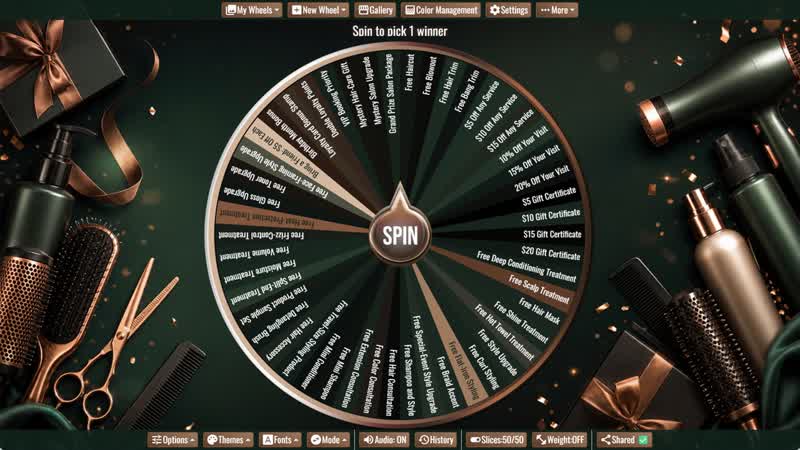 Hair Salon Giveaway Wheel