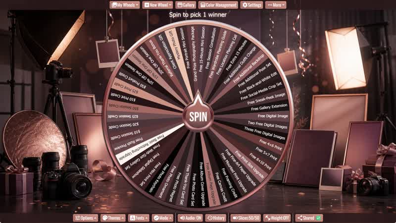Photography Studio Giveaway Wheel